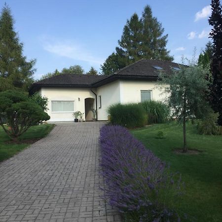 Studiovy Apartman V Zahrade Police nad Metují Exterior foto