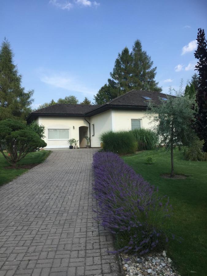 Studiovy Apartman V Zahrade Police nad Metují Exterior foto
