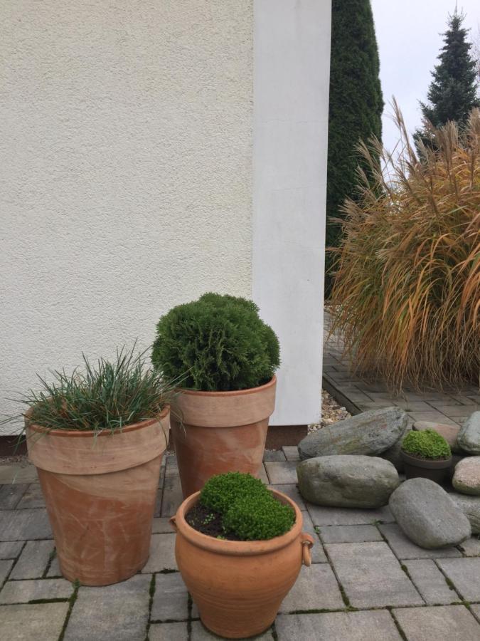 Studiovy Apartman V Zahrade Police nad Metují Exterior foto