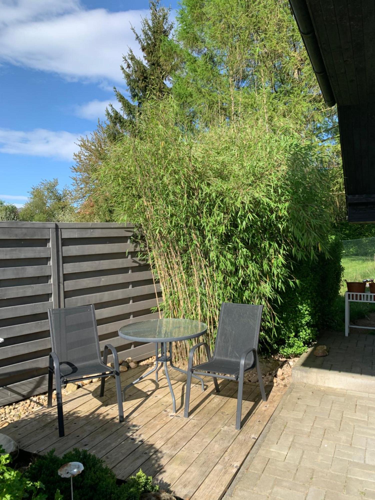 Studiovy Apartman V Zahrade Police nad Metují Exterior foto