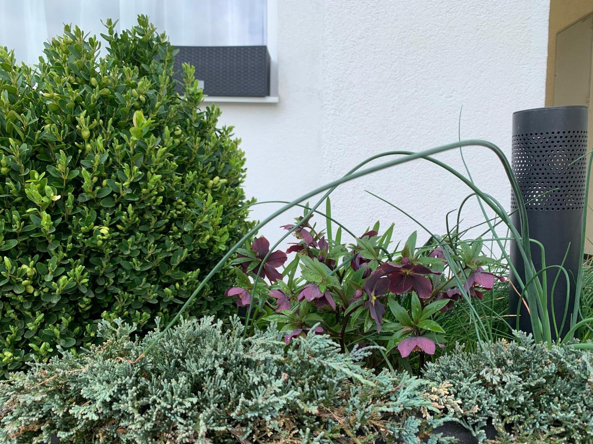 Studiovy Apartman V Zahrade Police nad Metují Exterior foto